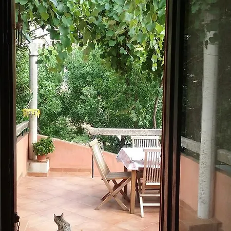 Gina Ντουμπρόβνικ