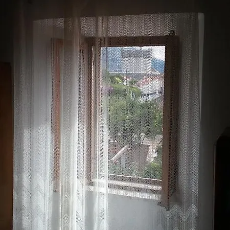 Gina Ντουμπρόβνικ